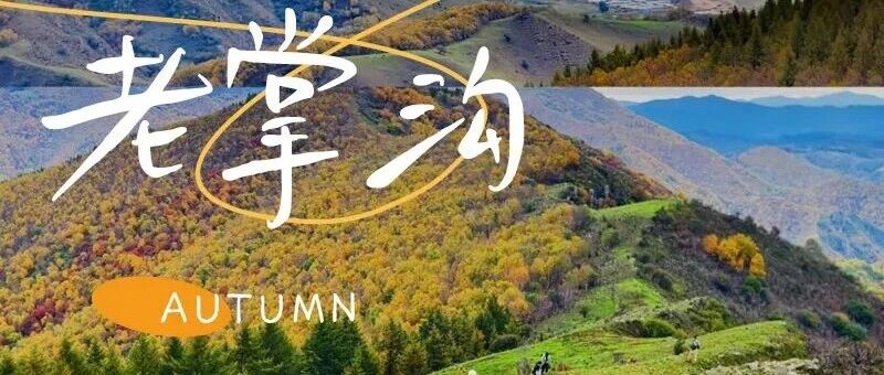 老掌沟 · 闯入秋日童话の老掌沟-半截沟18公里徒步<…