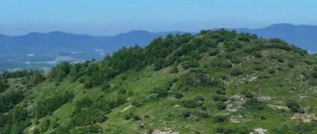 避开人流，融入山野，徒步滁州西大丰山