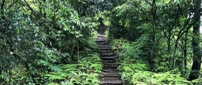 周日-10.11号 | 1天 | 千佛山 | 环线徒步（93元）