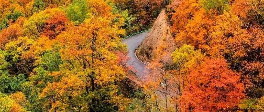 【光雾山】10月31-11月1日：漫步千年米仓古道，邂逅光雾山绚烂红叶