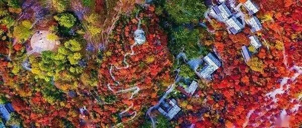 亚洲最大红叶群-坡峰岭赏红叶 国家地理推荐：周三/…