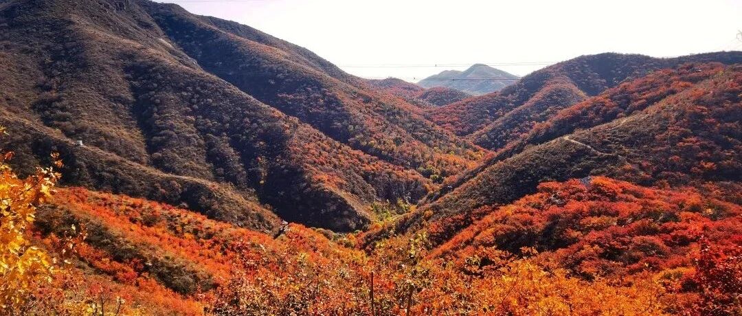 舞彩浅山