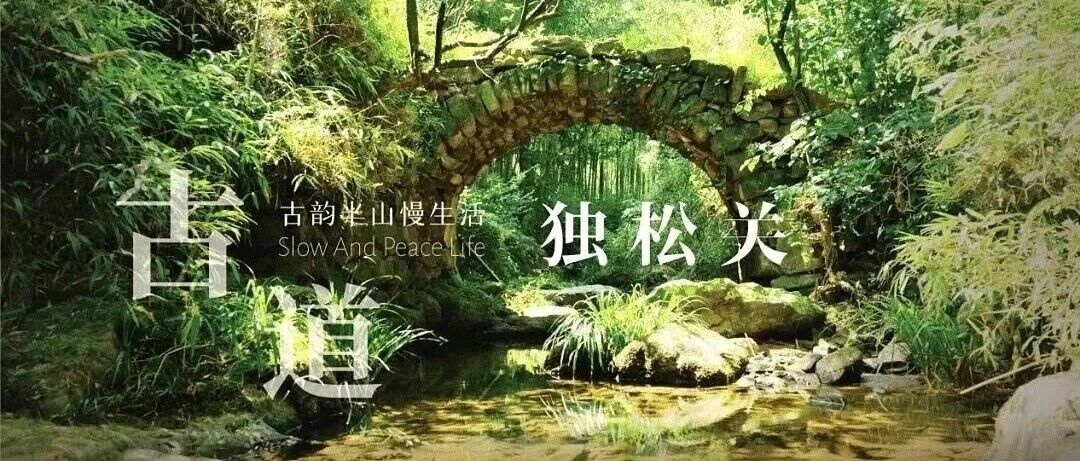10.18号【新线杭宣古道】探秘南古战场--独松关，漫步森林古道，探访千年古刹釜托禅寺，踏千年雄关石板路，聆听金戈铁马往事