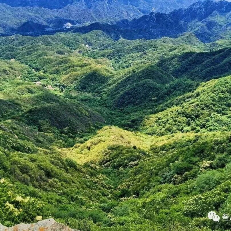 燕羽山-豆腐宴