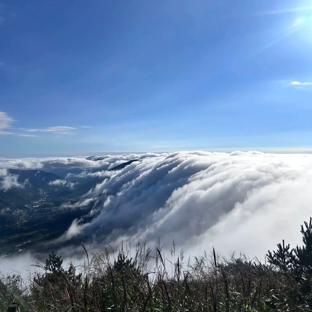 登山徒步 | 10.31-11.01 奔赴浙西云端，太子尖追一场日出云海，穿行天目双尖最美山脊线
