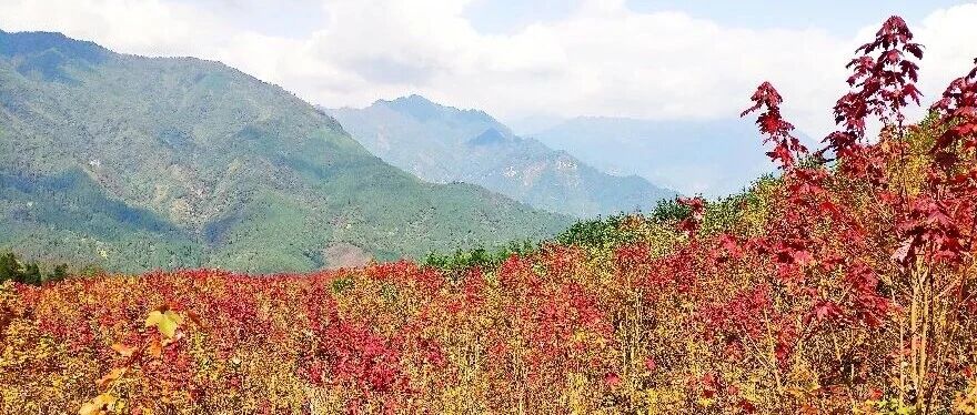 周日-1天 · 红枫岭