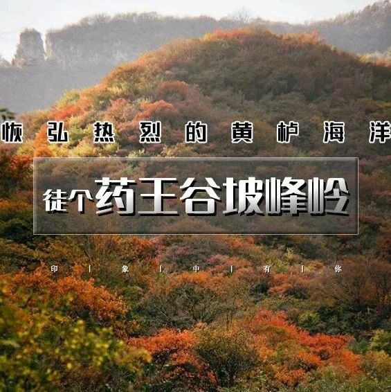 药王谷-坡峰岭徒步