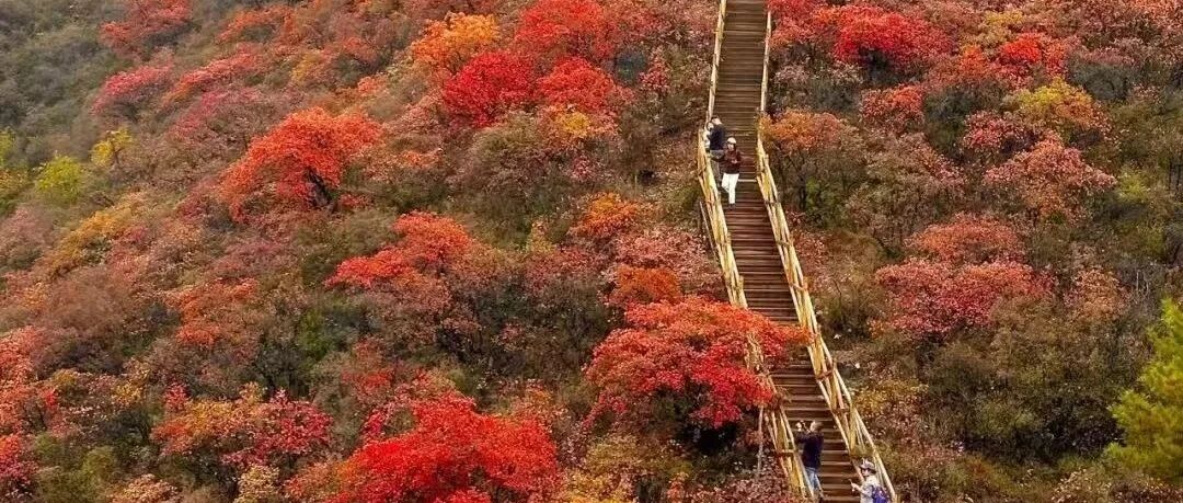 水峪村红叶栈道 明清最完整的古村水峪村-南窑村 14公里徒步（初级强度）