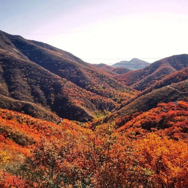 舞彩浅山 舞彩越野—徜徉红叶海