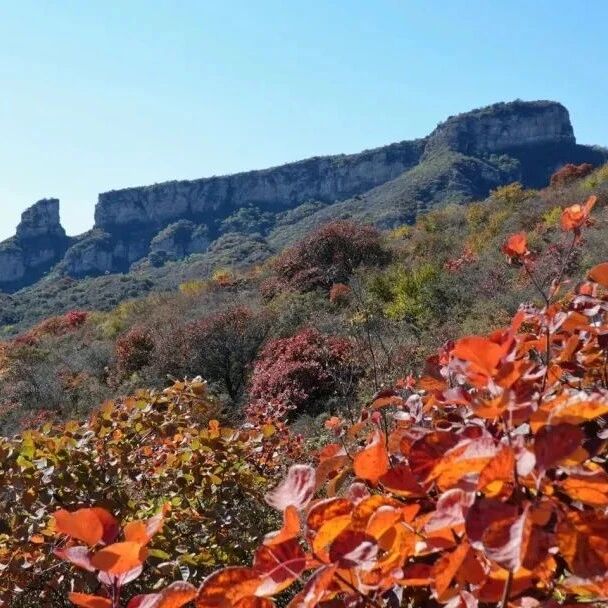 【初级+】10月24日：官财山-坡峰岭赏秋「祈福好运」「赶大集」