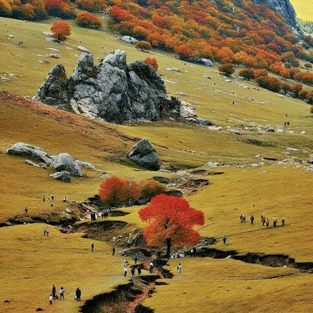 大青山•美林谷の小众徒步圣地