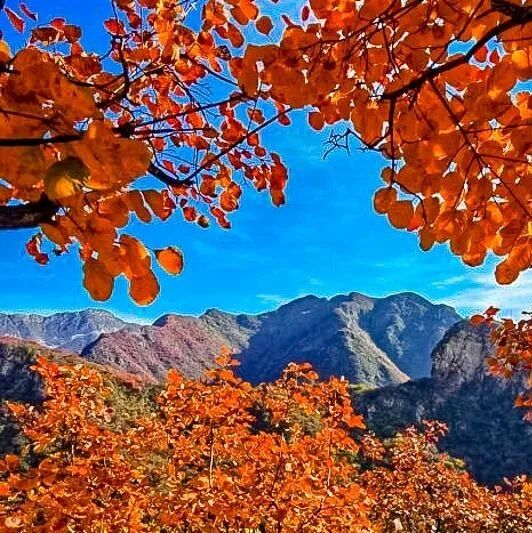 药王谷-坡峰岭