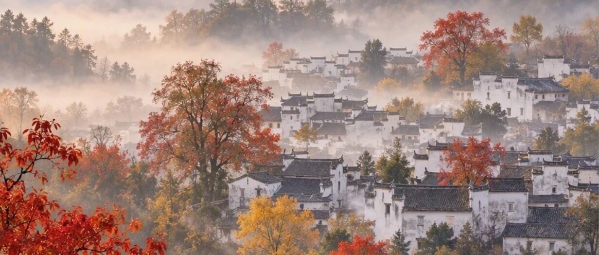 【徽州赏秋】11月14-15日：赏塔川绝景，品水墨徽州「四大赏秋圣地」