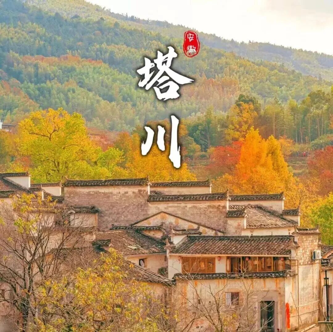 【徽州赏秋】11月7-8日：赏塔川绝景，品水墨徽州「四大赏秋圣地」