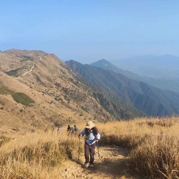 5车成团！（芦苇花开了）60元起！周六10.24 阿海领队【大南山13公里】惠东大南山芦苇草原，广东版