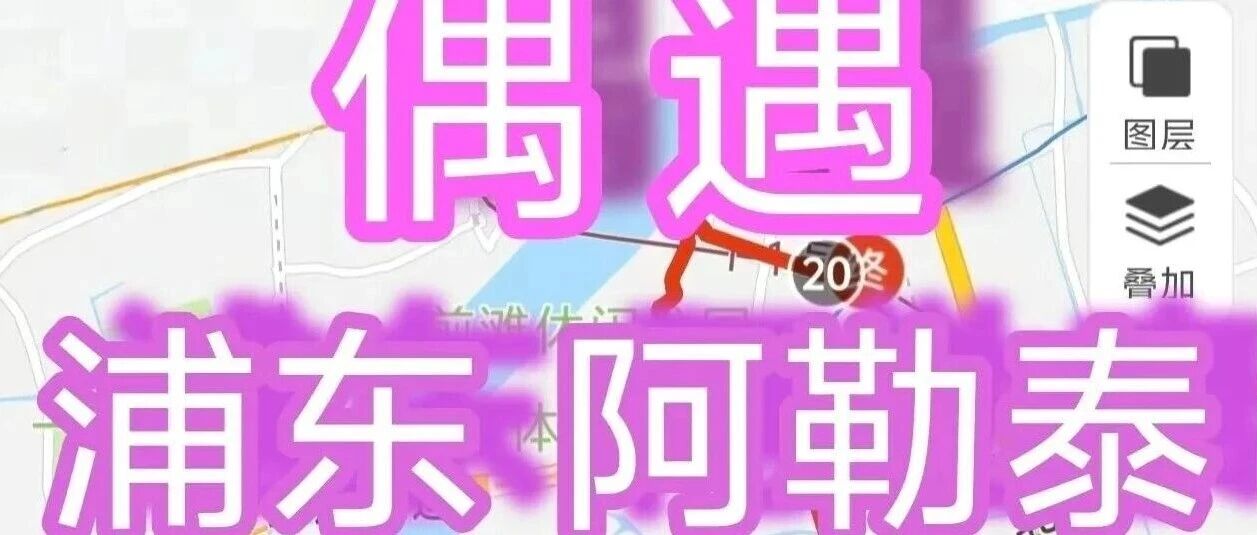 预告||沪东徒步*魔都偶遇|偶遇浦东阿勒泰