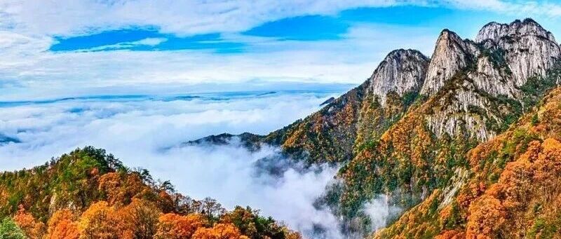 徒步鹞落坪红叶谷,二十八军旧址，秋色明堂山,原始…