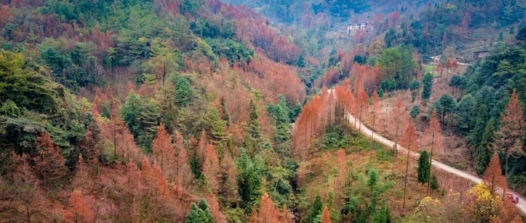 2026第七届秋色登山节