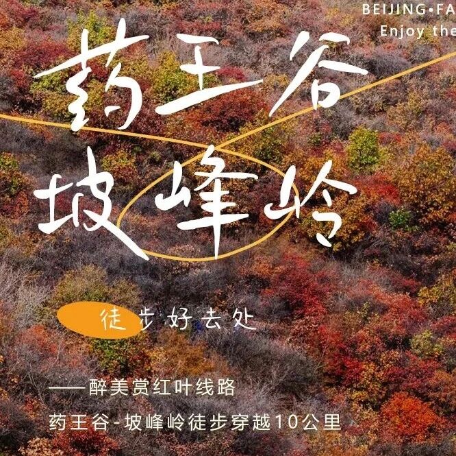 药王谷-坡峰岭徒步