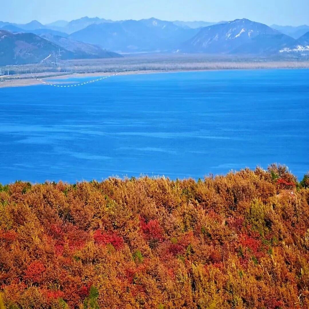 【初/中级】10月31日：翠屏三峪 瞰海赏秋「北方洱海」「新晋友好」