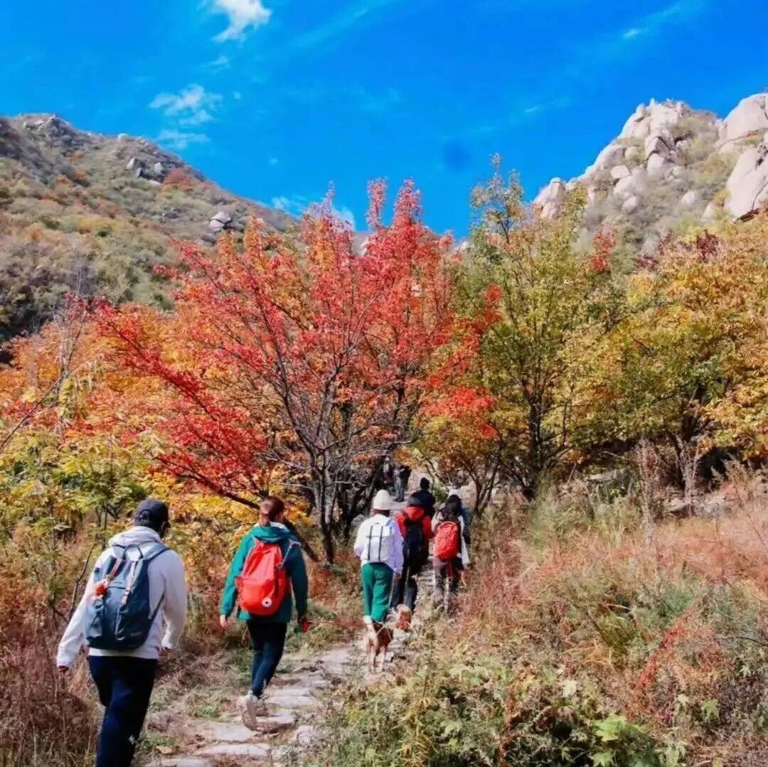 鳞龙山-撞道口-黄花城