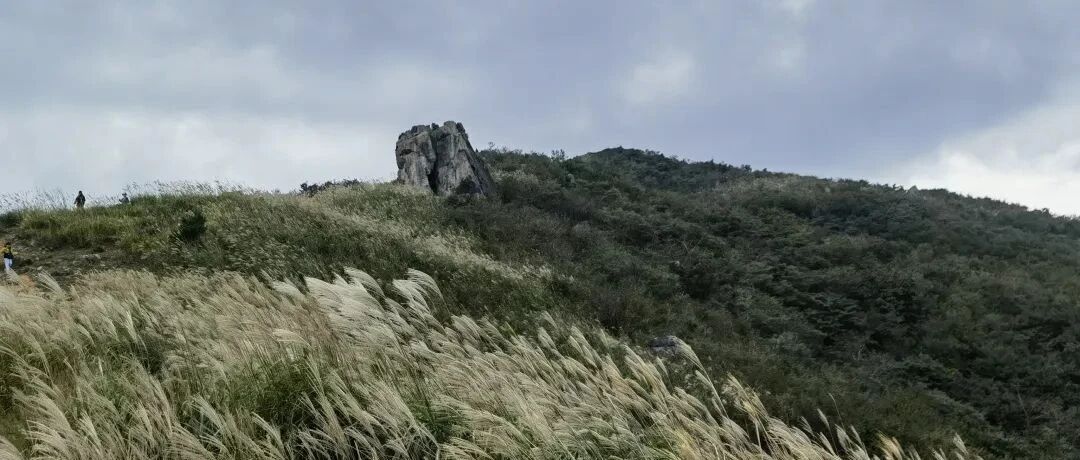 登山徒步 | 10.31 徒步天堂！铁匠峰 & 黑洞瀑布群，邂逅漫山芦苇的梦幻之旅