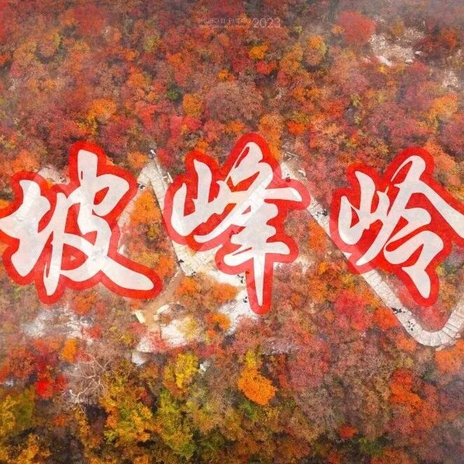坡峰岭赏红叶最佳观赏期-亚洲最大红叶群 国家地理…