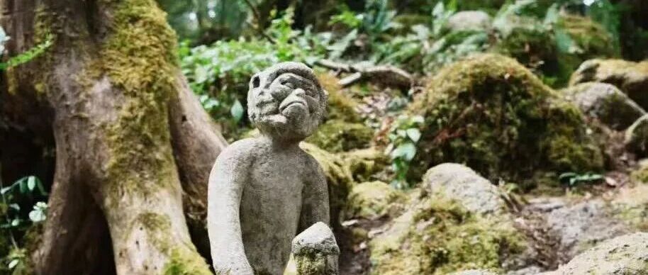 【元旦特辑•火车/飞机】【哀牢山•抚仙湖】1月1-3日：探秘哀牢幽谷秘境，徒步抚仙湖「轻装住宿」