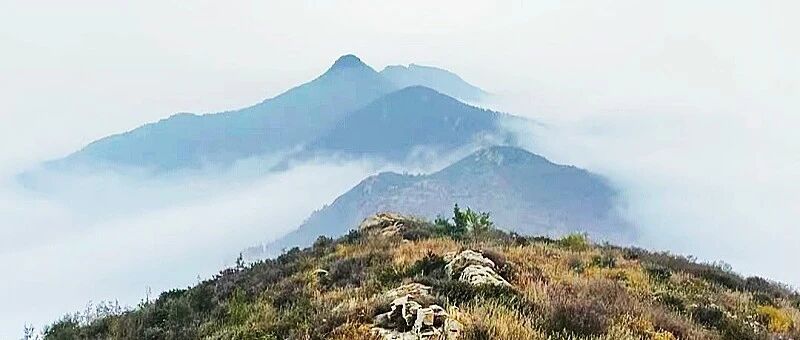【初级】11月1日：【十字寺】寻古赏银杏 金祖山-金陵遗址-三盆水-十字寺遗址