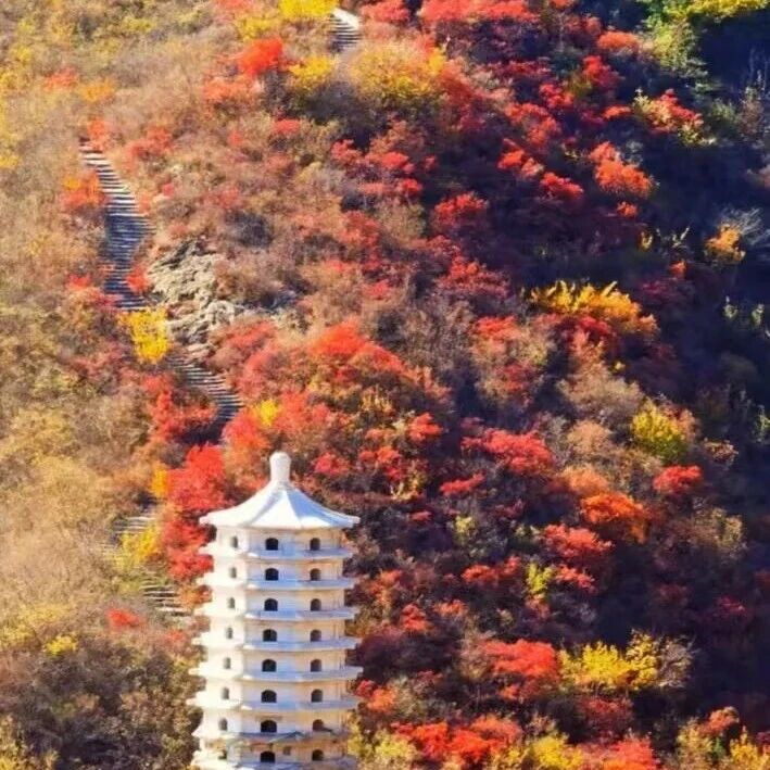 【初级入门 景色不错】11月1日：谷积山赏秋