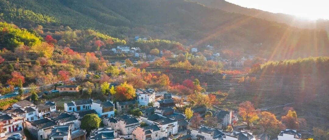 皖南秋色 | 11.14-11.15 赏秋·塔川，中国四大秋色之一，两日休闲