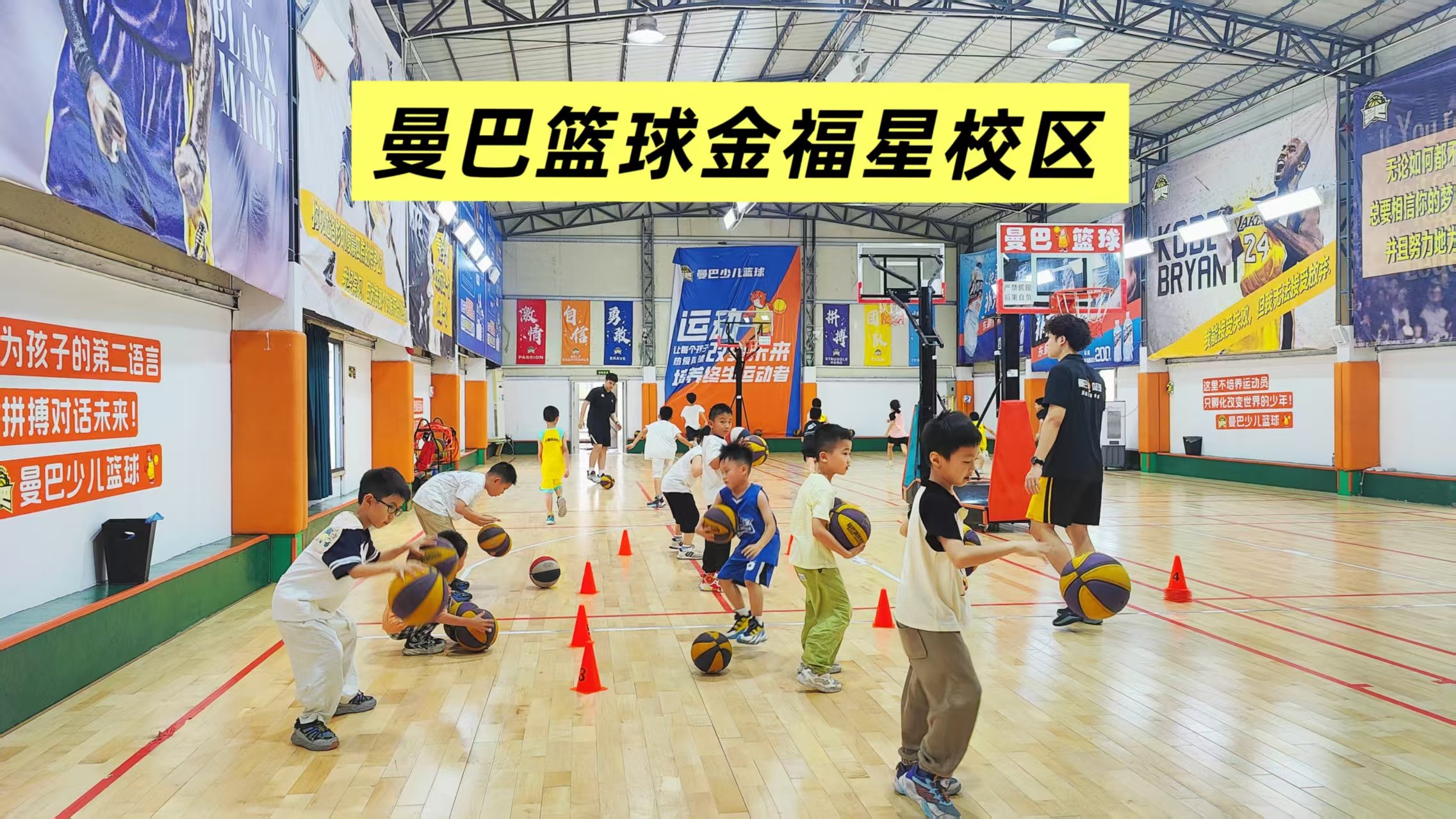 曼巴少儿篮球俱乐部(金福星校区)