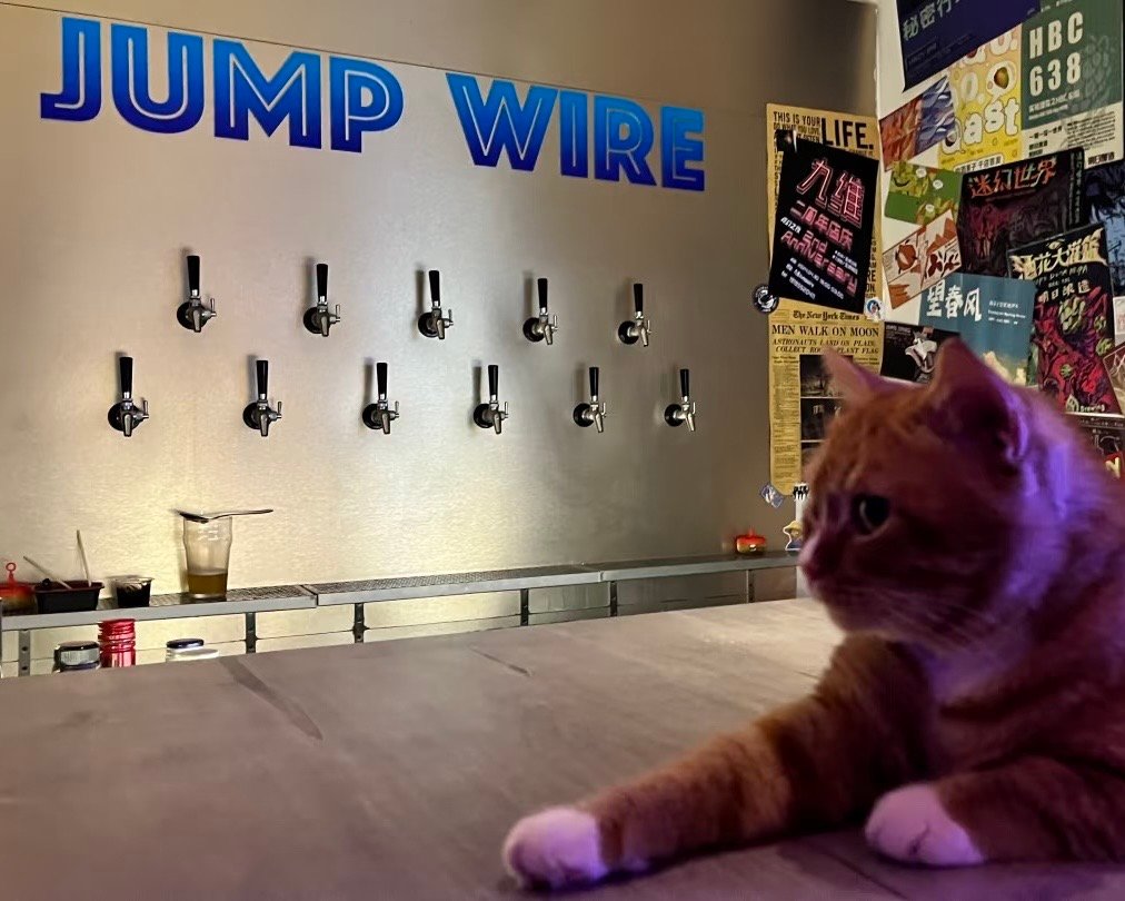 Jumpwire九维精酿